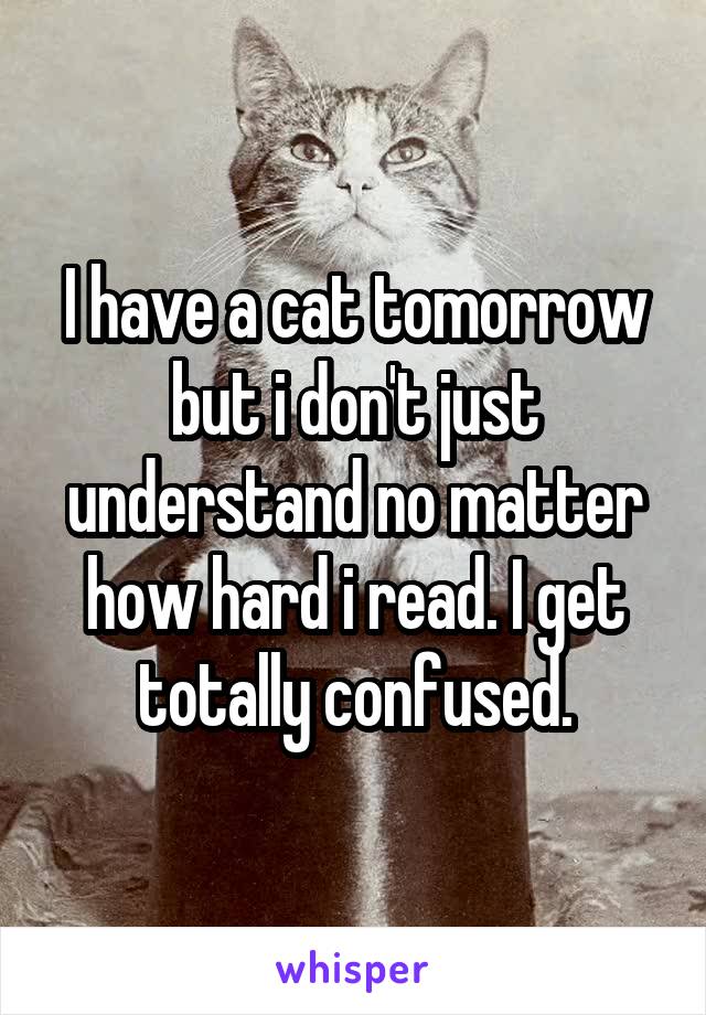 I have a cat tomorrow but i don't just understand no matter how hard i read. I get totally confused.