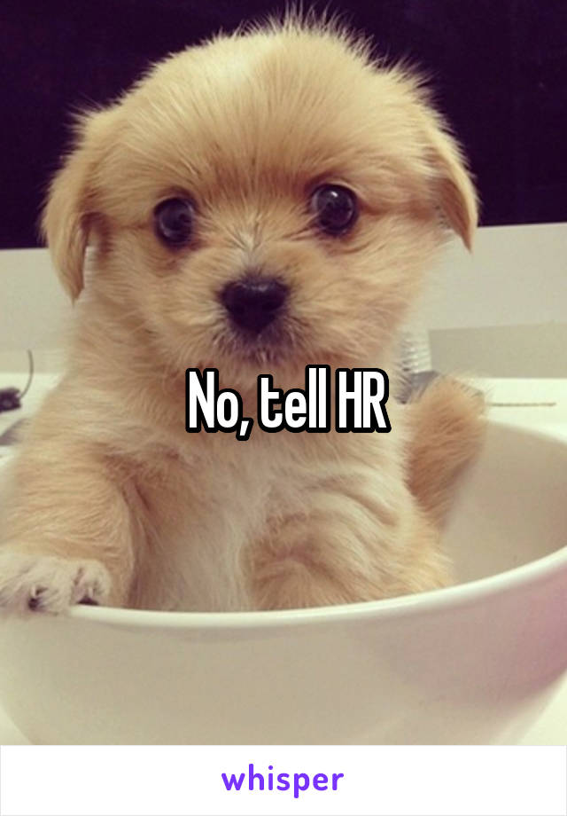 No, tell HR