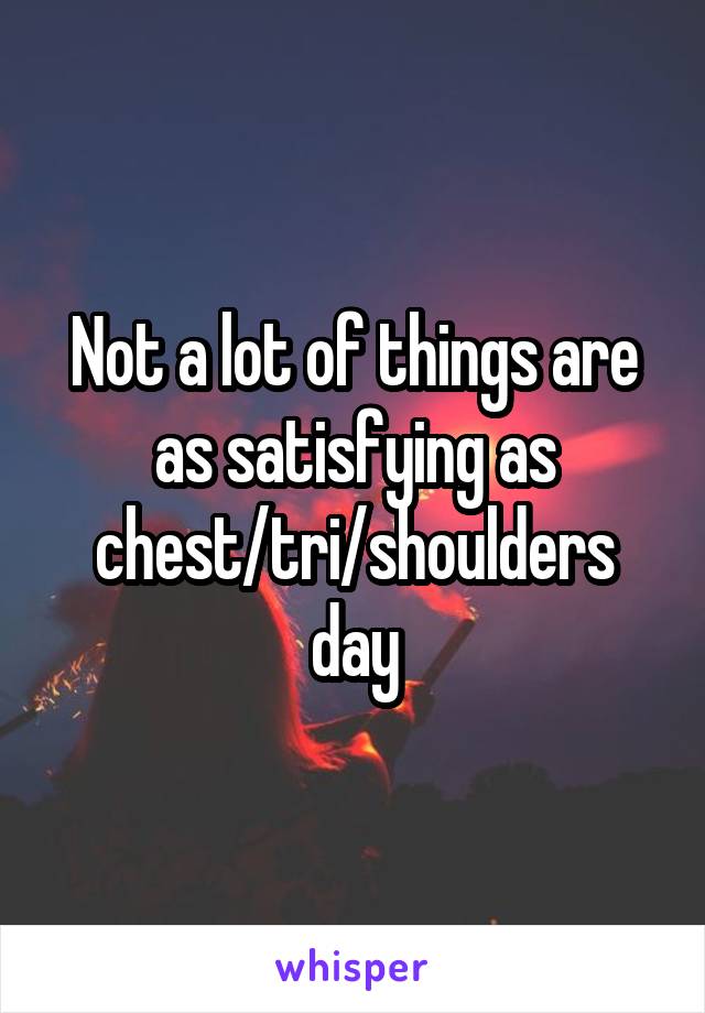 Not a lot of things are as satisfying as chest/tri/shoulders day