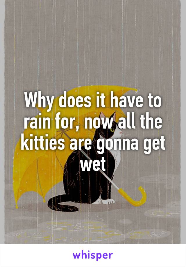 Why does it have to rain for, now all the kitties are gonna get wet
