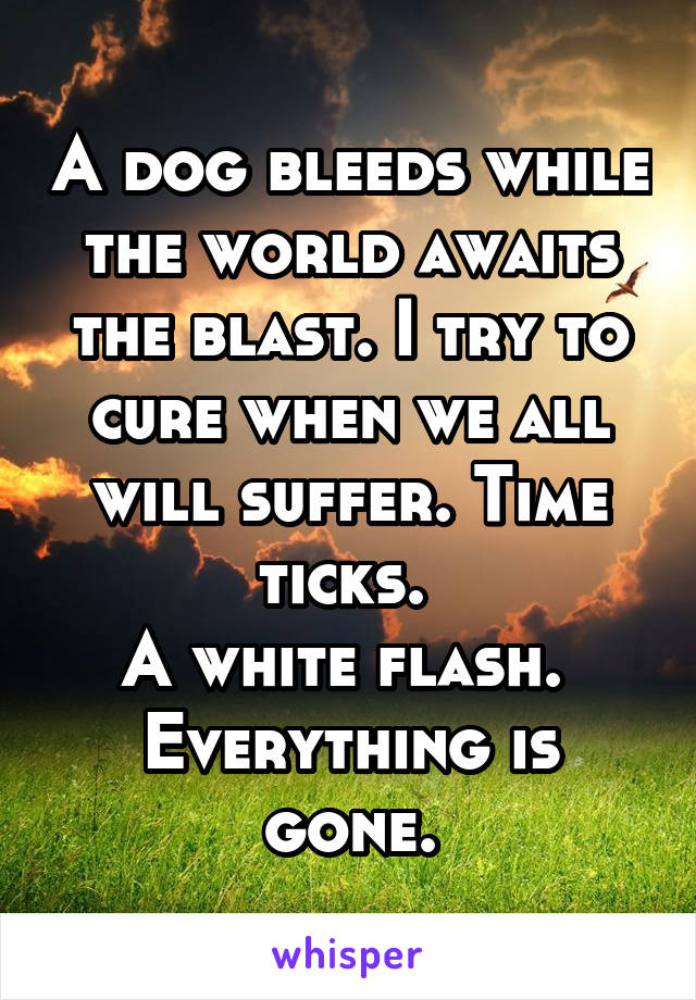 A dog bleeds while the world awaits the blast. I try to cure when we all will suffer. Time ticks. 
A white flash. 
Everything is gone.