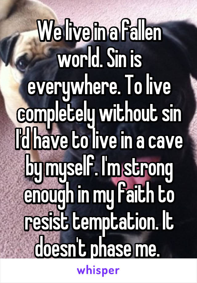 We live in a fallen world. Sin is everywhere. To live completely without sin I'd have to live in a cave by myself. I'm strong enough in my faith to resist temptation. It doesn't phase me. 