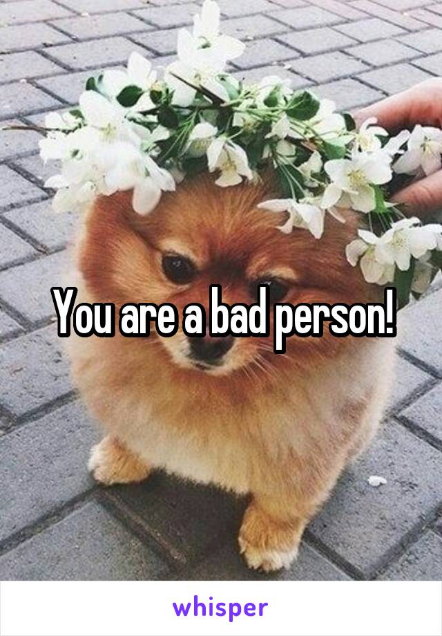 You are a bad person!