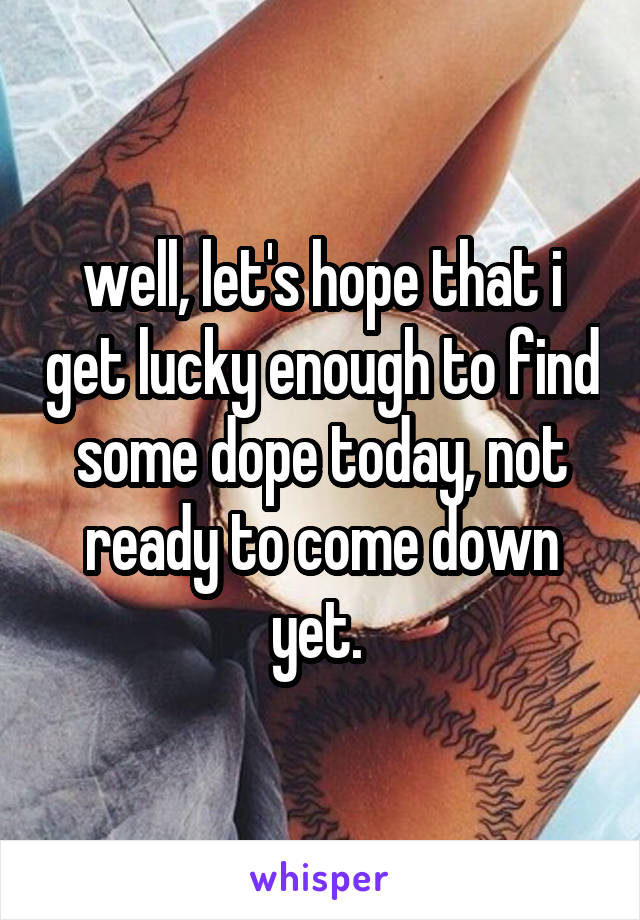 well, let's hope that i get lucky enough to find some dope today, not ready to come down yet. 