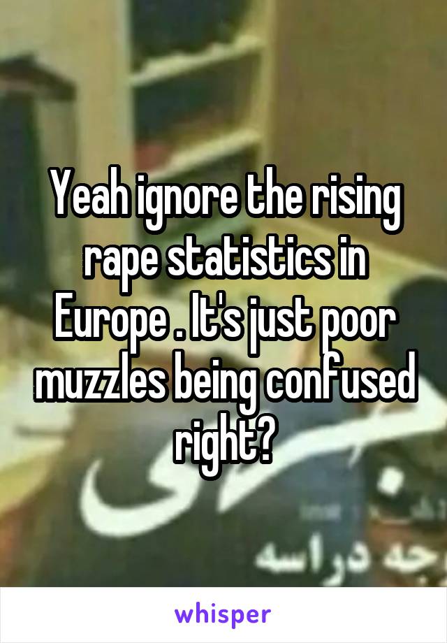 Yeah ignore the rising rape statistics in Europe . It's just poor muzzles being confused right?