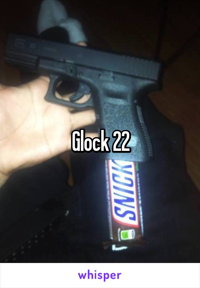 Glock 22