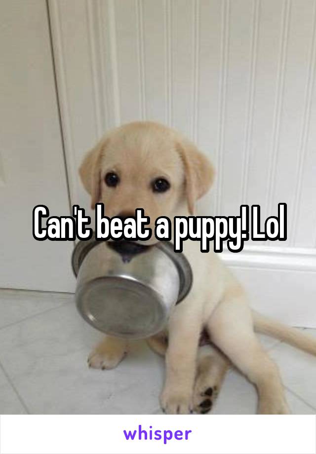 Can't beat a puppy! Lol