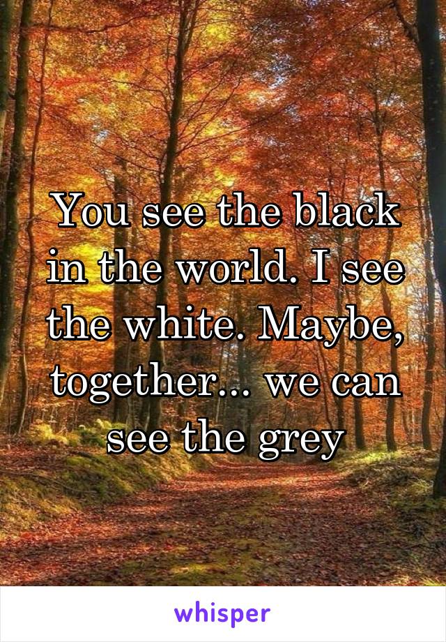 You see the black in the world. I see the white. Maybe, together... we can see the grey