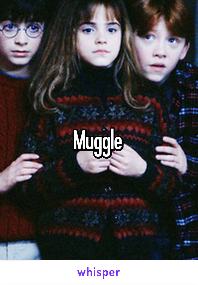 Muggle 