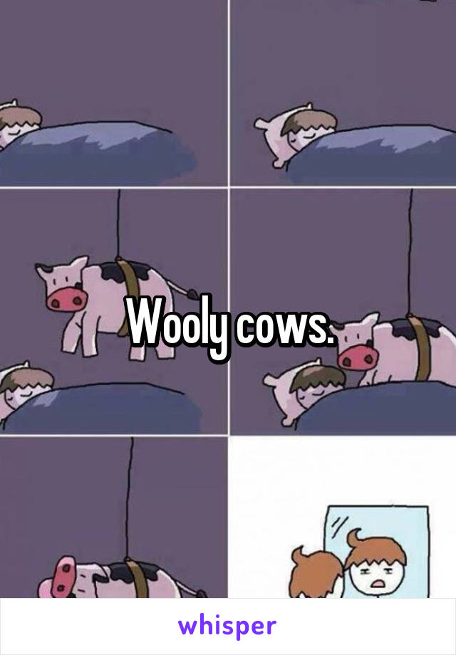 Wooly cows.