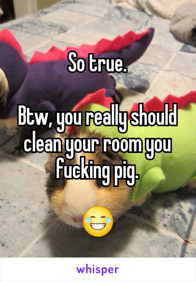 So true.

Btw, you really should clean your room you fucking pig.

😂