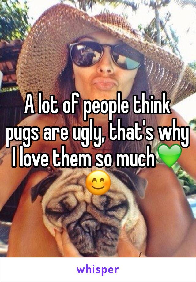 A lot of people think pugs are ugly, that's why I love them so much💚😊