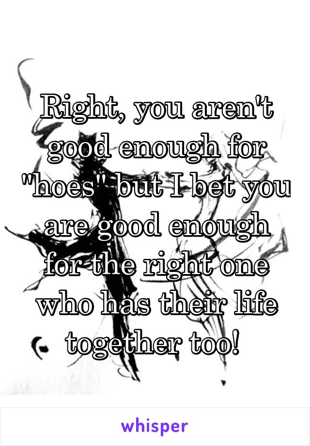 Right, you aren't good enough for "hoes" but I bet you are good enough for the right one who has their life together too! 