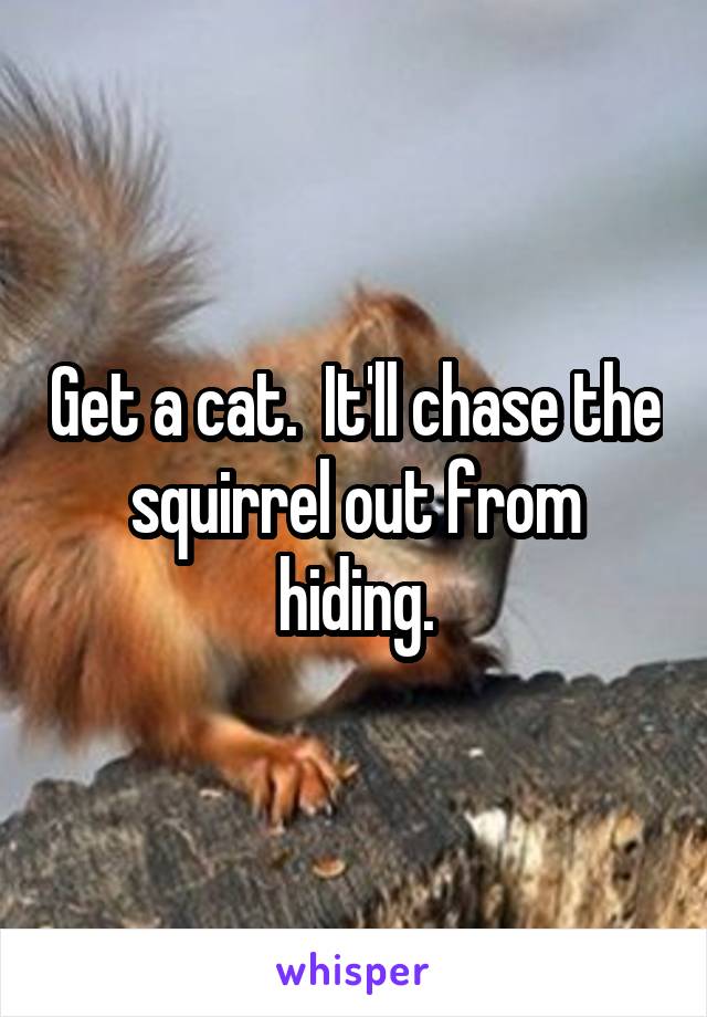 Get a cat.  It'll chase the squirrel out from hiding.
