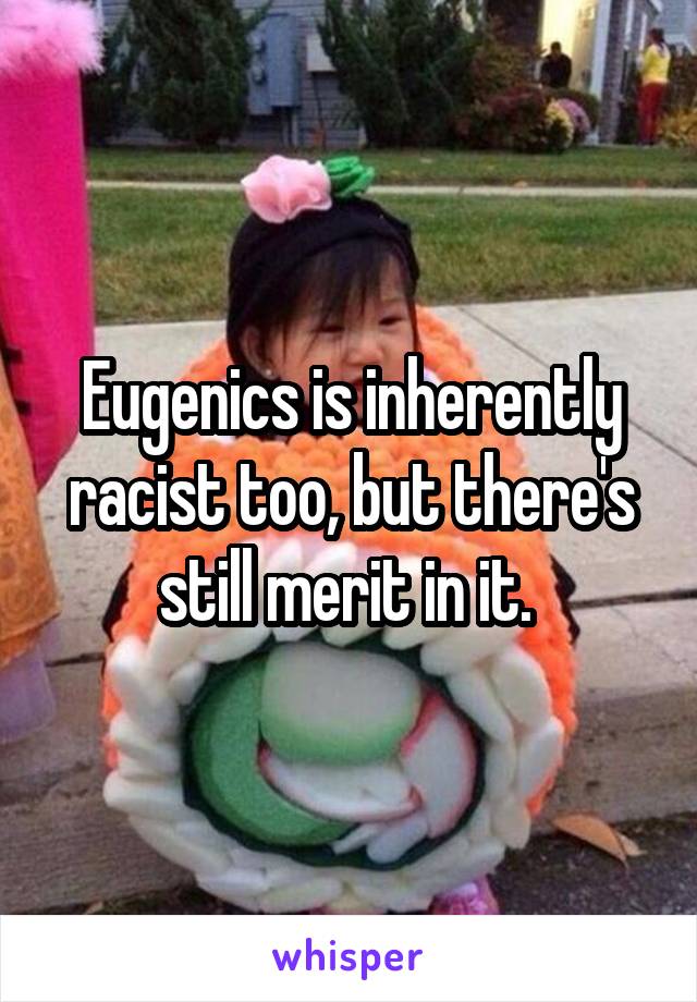 Eugenics is inherently racist too, but there's still merit in it. 