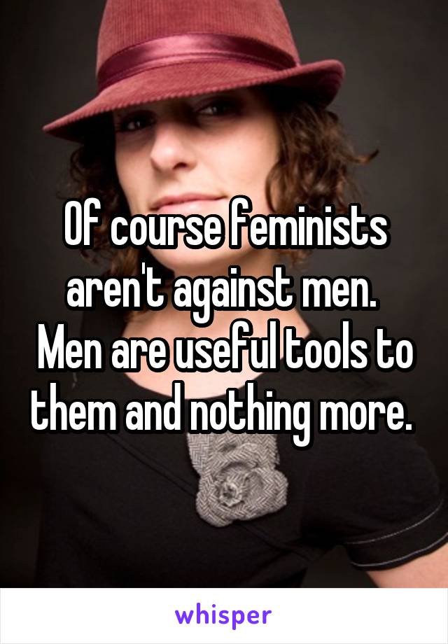 Of course feminists aren't against men.  Men are useful tools to them and nothing more. 