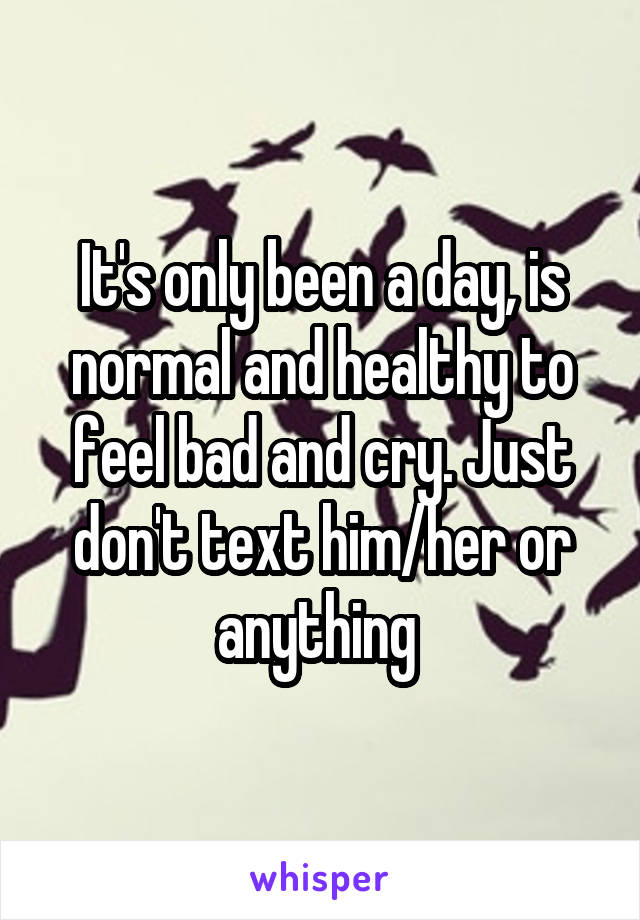 It's only been a day, is normal and healthy to feel bad and cry. Just don't text him/her or anything 