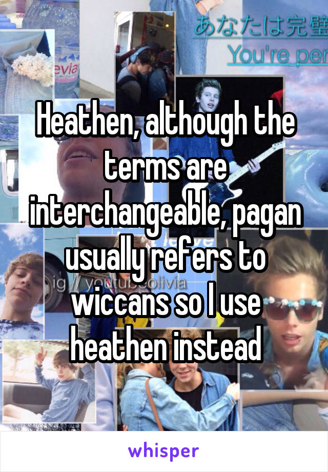 Heathen, although the terms are interchangeable, pagan usually refers to wiccans so I use heathen instead