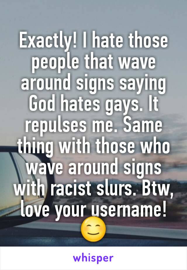 Exactly! I hate those people that wave around signs saying God hates gays. It repulses me. Same thing with those who wave around signs with racist slurs. Btw, love your username!😊