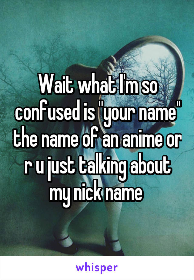 Wait what I'm so confused is "your name" the name of an anime or r u just talking about my nick name 