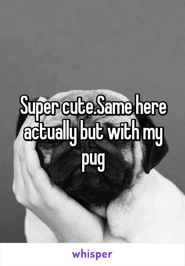 Super cute.Same here actually but with my pug
