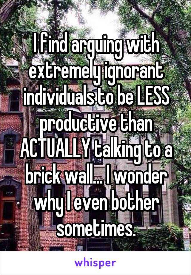 I find arguing with extremely ignorant individuals to be LESS productive than ACTUALLY talking to a brick wall... I wonder why I even bother sometimes.