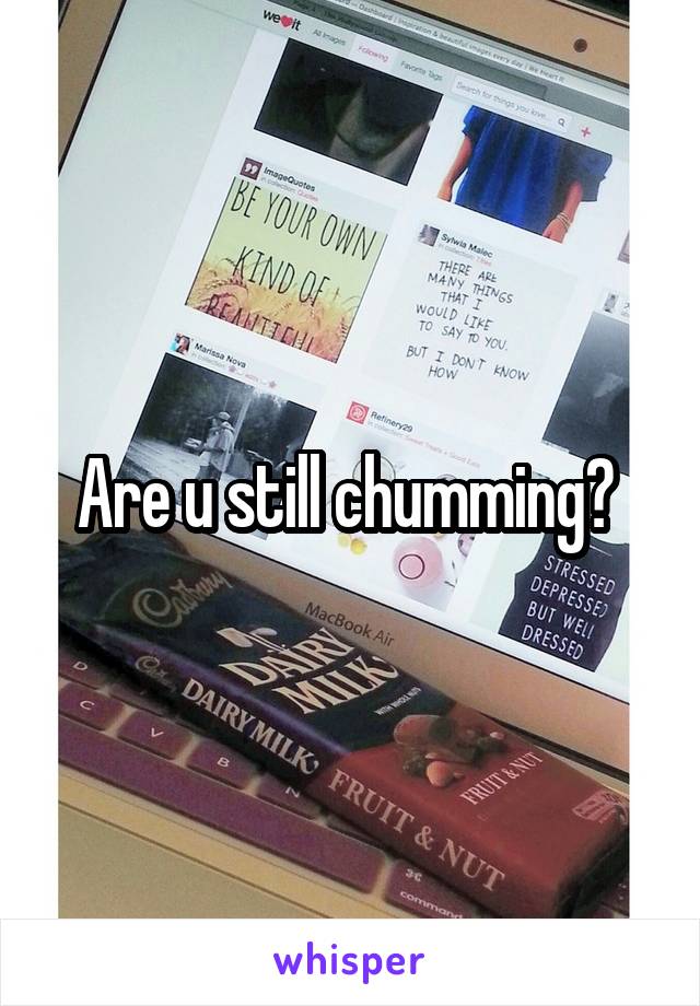 Are u still chumming? 
