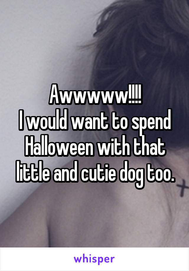 Awwwww!!!!
I would want to spend Halloween with that little and cutie dog too.