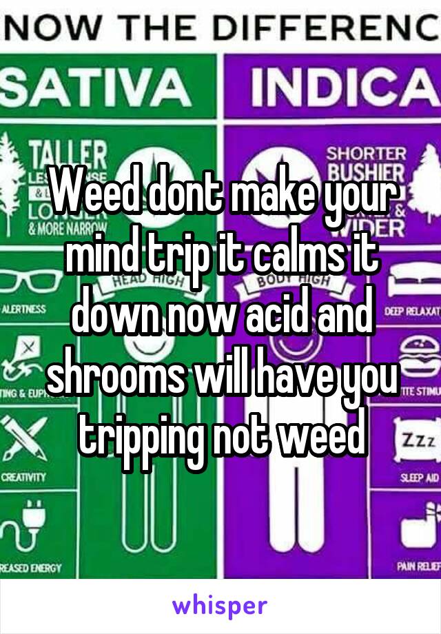 Weed dont make your mind trip it calms it down now acid and shrooms will have you tripping not weed