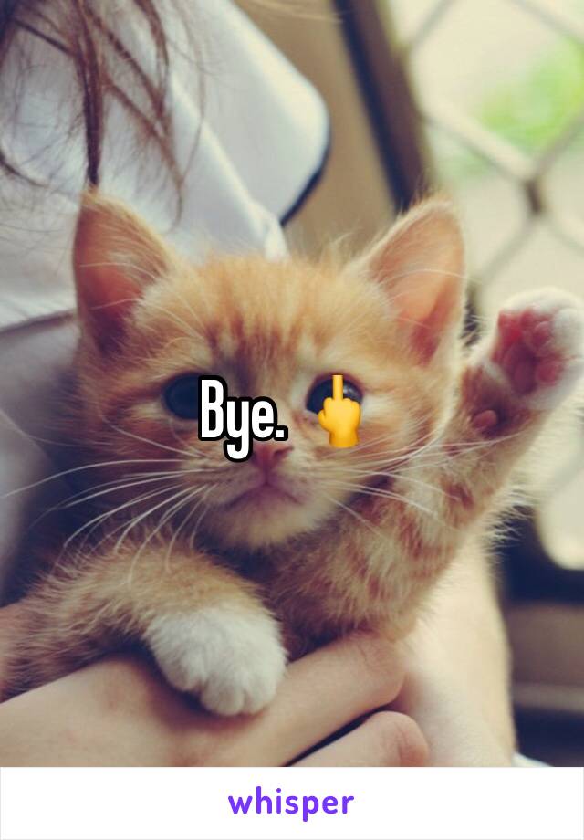Bye. 🖕