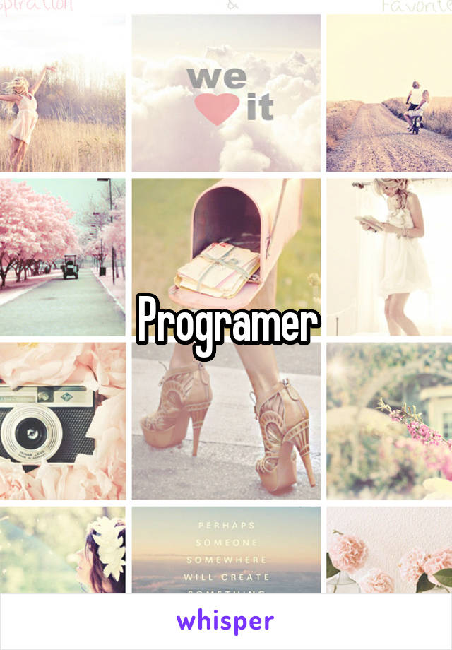 Programer