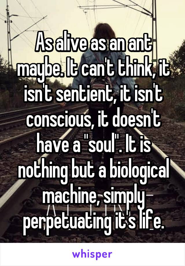 As alive as an ant maybe. It can't think, it isn't sentient, it isn't conscious, it doesn't have a "soul". It is nothing but a biological machine, simply perpetuating it's life.