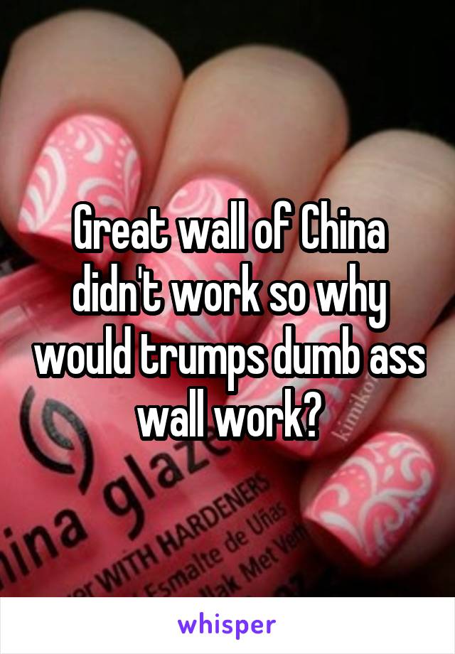 Great wall of China didn't work so why would trumps dumb ass wall work?