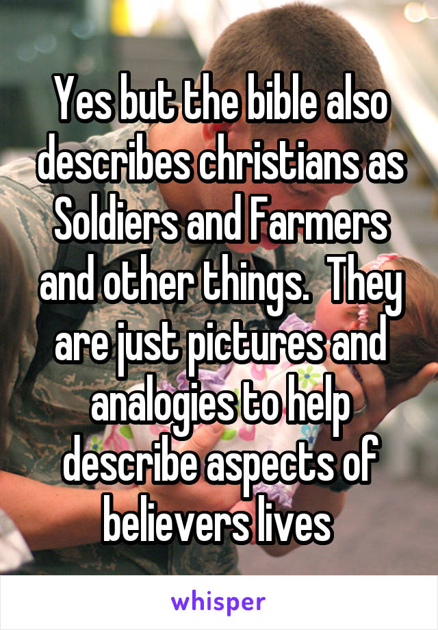 Yes but the bible also describes christians as Soldiers and Farmers and other things.  They are just pictures and analogies to help describe aspects of believers lives 