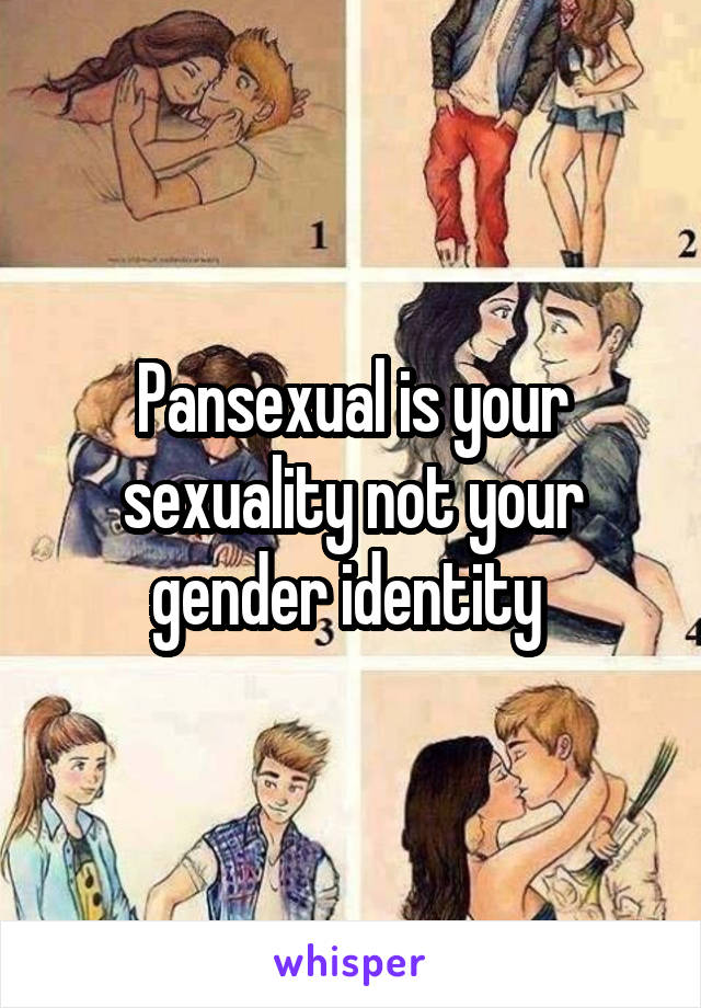 Pansexual is your sexuality not your gender identity 