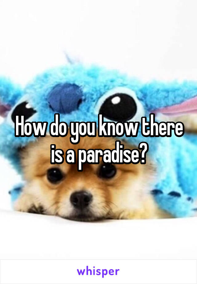 How do you know there is a paradise?
