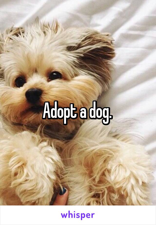 Adopt a dog. 