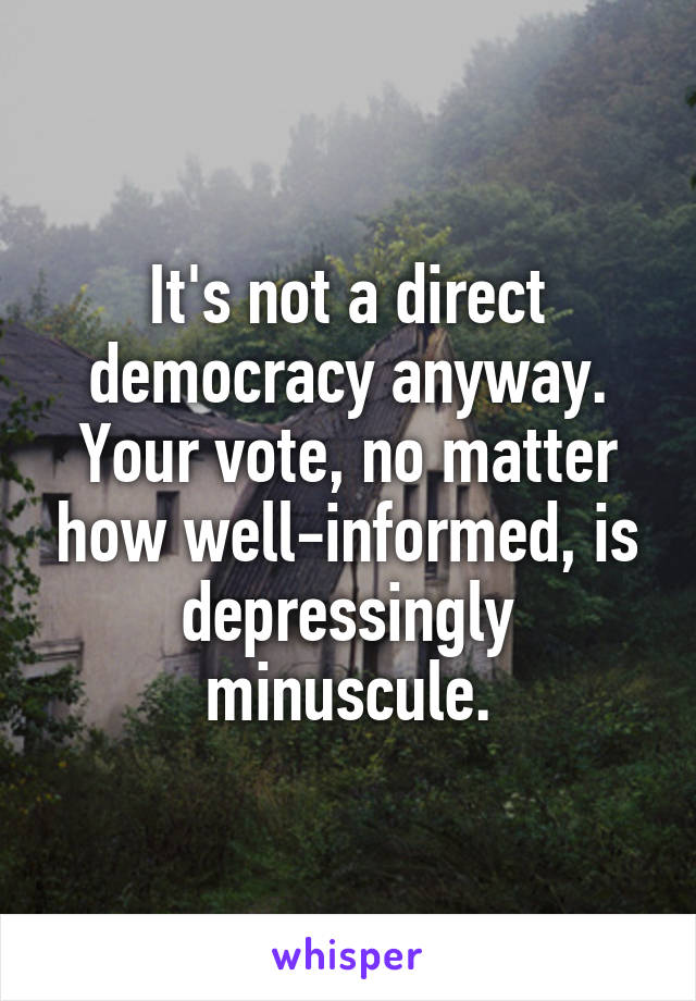 It's not a direct democracy anyway. Your vote, no matter how well-informed, is depressingly minuscule.