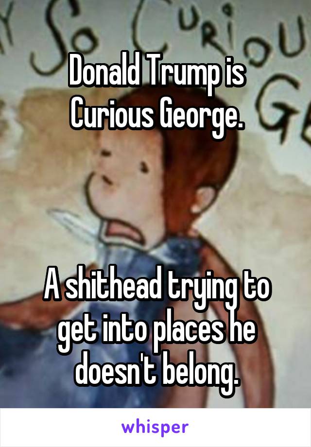 Donald Trump is
Curious George.



A shithead trying to get into places he doesn't belong.