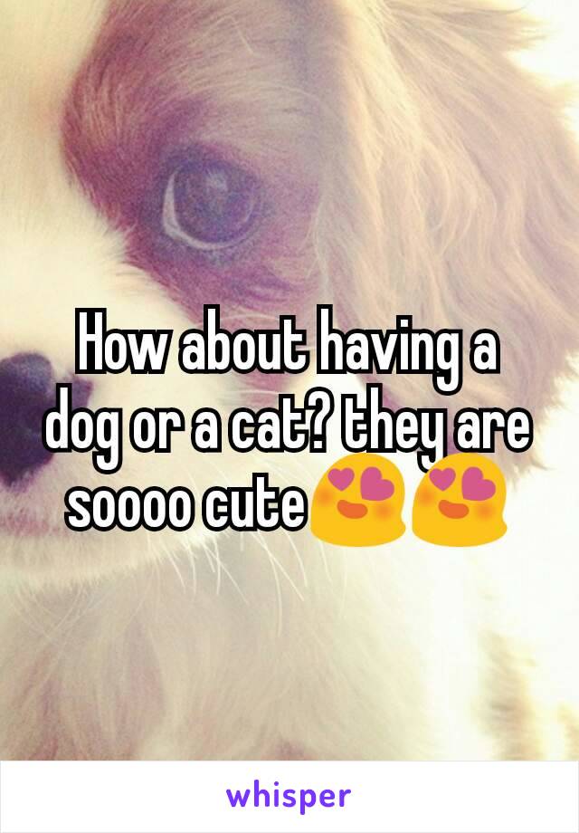 How about having a dog or a cat? they are soooo cute😍😍