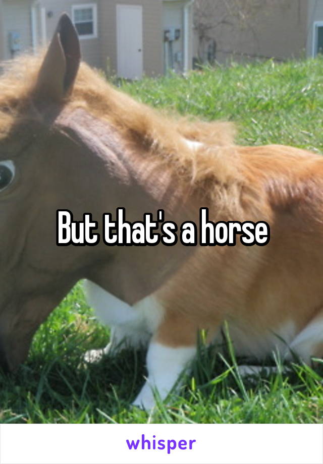 But that's a horse