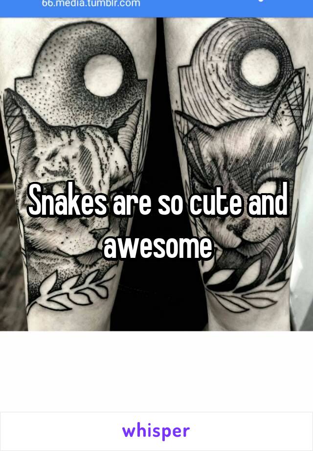 Snakes are so cute and awesome