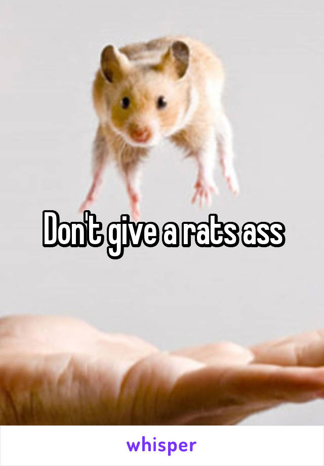 Don't give a rats ass