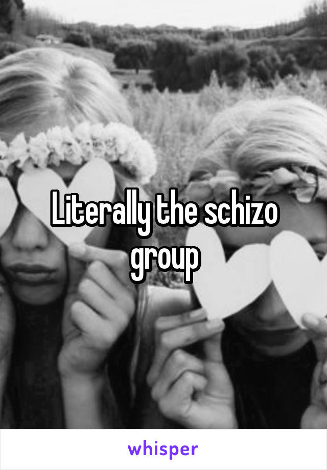 Literally the schizo group