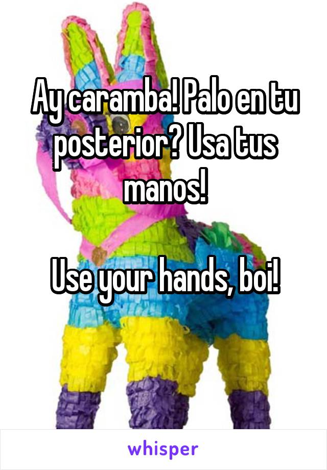 Ay caramba! Palo en tu posterior? Usa tus manos!

Use your hands, boi!

