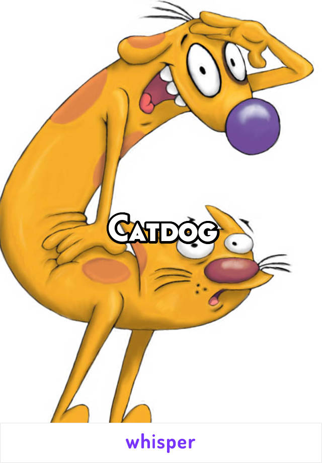 Catdog