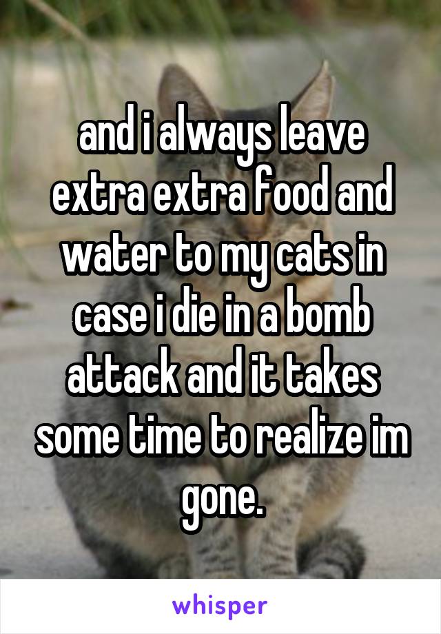 and i always leave extra extra food and water to my cats in case i die in a bomb attack and it takes some time to realize im gone.