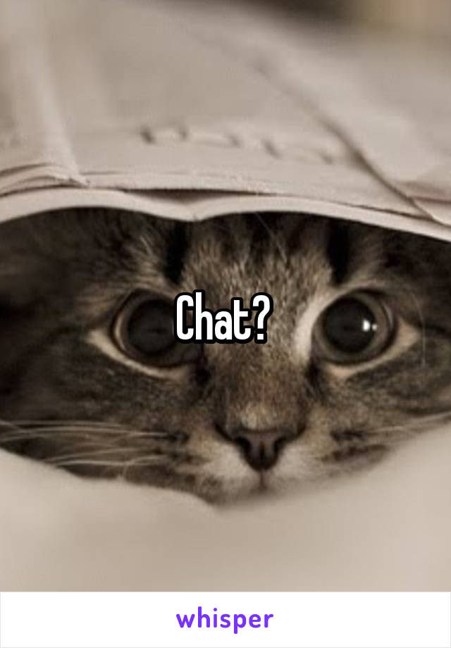 Chat? 