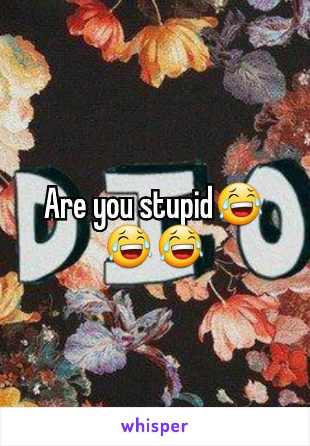 Are you stupid😂😂😂