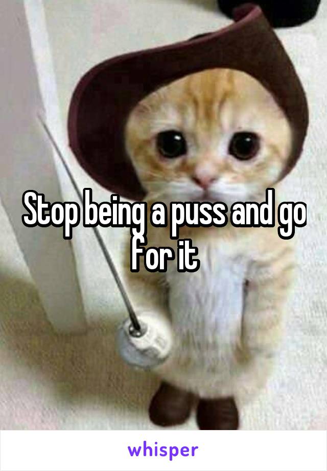 Stop being a puss and go for it